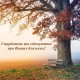 Ритуальні послуги Верхівцеве