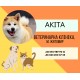 Ветеринарна амбулаторія "Акіта" Житомир