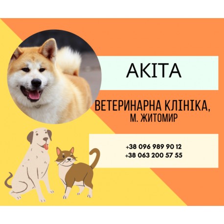 Ветеринарна амбулаторія "Акіта" Житомир