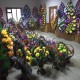 Ритуальні послуги Пам'ятники гранітні та бетонні Вовчанськ