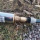 Бурові роботи Буріння свердловин на воду  Cумы