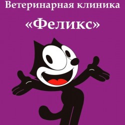 Клініка для тварин Фелікс Київ