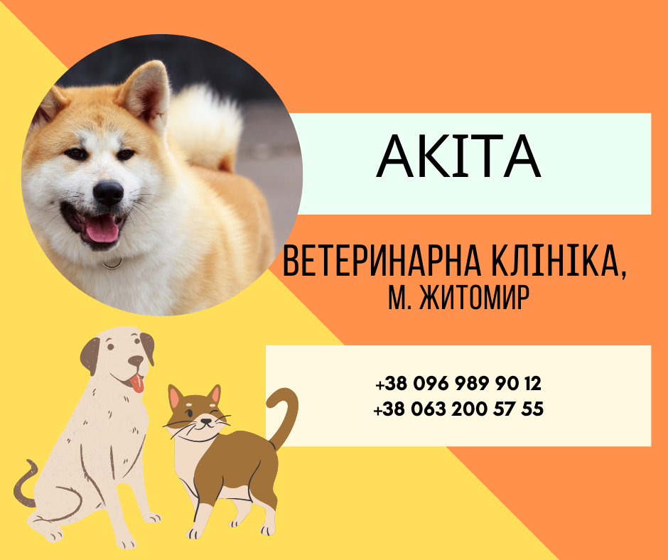 Ветеринарна амбулаторія "Акіта" Житомир