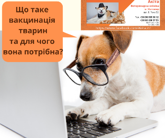 Ветеринарна амбулаторія "Акіта" Житомир