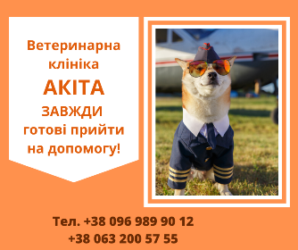Ветеринарна амбулаторія "Акіта" Житомир