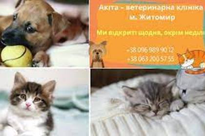 Ветеринарна амбулаторія "Акіта" Житомир